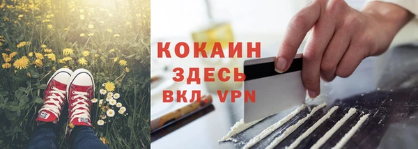 прущая мука Богородицк