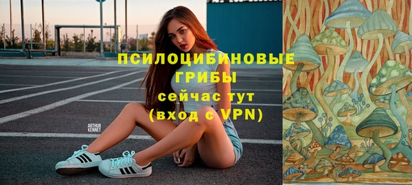 мдма Богданович